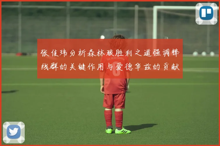 张佳玮分析森林狼胜利之道强调锋线群的关键作用与爱德华兹的贡献